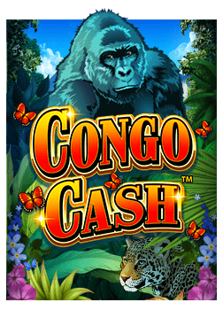 เทคนิค สล็อต โร่ มา ที่ทุกคนไม่ควรพลาด